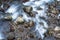 Immersed in the Flow of Nature: Slow Shutter Speed Images of Water and Rocks