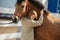 Immersed ginger girl with lovely freckles petting and hugging her horse