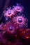 Immersive Underwater Wonderland: Exploring Vibrant Purple Blooms