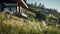 Immersive Vray Tracing: A Whistlerian House With Grass And Dandelions