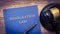 Immigration law book and gavel on a brown wooden table. Law and legal concept