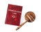 Immigration law book and wooden gavel on background, top view