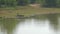 Immobile crocodile lies on calm lake reflecting trees bank