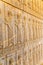 Immortals relief detail Persepolis