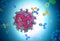 Immunoglobulin or antibody proteins attack a corona virus pathogen cell