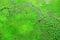 Impala and aerial landscape in Okavango delta, Botswana. Lakes and rivers, view from airplane. Green vegetation in South Africa. T