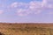 Impala African Antelope Wildlife Animal Grazing Savanna in The Kenyan Landscapes Nairobi National Park Kenya East African