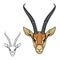Impala antelope animal icon, hunting sport mascot