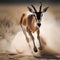 Impala antelope running in dust, Etosha National Park, Namibia