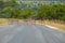 Impala antelopes crossing road in Kruger national park