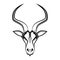 Impala head Suitable for use as decoration or logo Line art vector of springbok head Suitable for use as