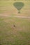 Impala and hot air balloon with shadow over the Masaai Mara Reserve in Kenya Africa