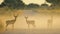 Impala - Wildlife Background - Dust and Golden Shadows