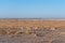 Impalas in Etosha National Park