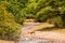 Impale antelope crossing a river