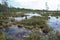Impassable bog in the Siberian taiga