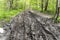 impassable forest road, muddy after rains, with traces of truck tires