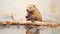 Impasto Minimalistic Zen Painting Of Beaver On Soft Beige Background