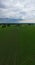 Impending Storm: Aerial View of Fields Under Gathering Clouds