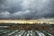 An impending storm outside the city. Old garages and ruined industrial area of the city against the dramatic sky. Dull suburban