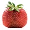 Imperfect organic fresh ripe heirloom strawberry isolated