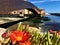 Imperia city, Liguria region, Italy. Sea, water, flowers and bridge