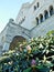 Imperial Castle in PoznaÅ„ and blooming rhododendrons, Poland