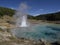 Imperial Geyser