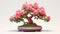 Imperial Ipa Rose Bonsai Tree - Impressive Hd Desktop Wallpaper