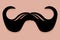 Imperial Moustache Icon Vector