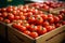Import tomato delivery, boxed harvest of red tomatoes