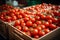 Import tomato delivery, boxed harvest of red tomatoes