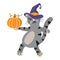 Important gray cat in a witch hat with a pumpkin. Adorable pets. Cartoon character for the holiday Halloween. Vector illustration