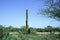 an imposing tall Termite mound in Ethiopia