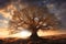 Imposing tree without leaves in nature with sunset background Generative AI Illustration