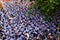 Impression, overcrowded of buddhist at Pagoda on anniversary