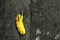 The impression of a tire tread in a banana laying in a street gutter.