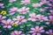 Impression of  Vibrant Flower Pattern Wallpaper .AI Generated