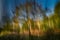 Impressionist ICM Image of Tree in Eaves Wood