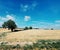Impressionist landscape, Wheat field, La Roche-Guyon, France