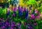 Impressionist style colour sketch of a design for a wild garden in the meadow