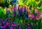 Impressionist style colour sketch of a design for a wild garden in the meadow