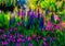 Impressionist style colour sketch of a design for a wild garden in the meadow