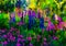 Impressionist style colour sketch of a design for a wild garden in the meadow