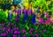 Impressionist style colour sketch of a design for a wild garden in the meadow