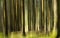 Impressionistic Forest