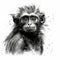 Impressionistic Realistic Blackwork Style Cartoon Monkey on White Background for Invitations and Posters.