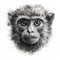 Impressionistic Realistic Blackwork Style of a Cute Monkey on White Background for Invitations and Posters.