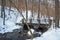 Impressionistic Style Artwork of a Footbridge Over A Winter Creek