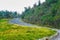 Impressionistic Style Artwork of Roadway Meandering Through the Autumn Appalachian Mountains Along the Blue Ridge Parkway